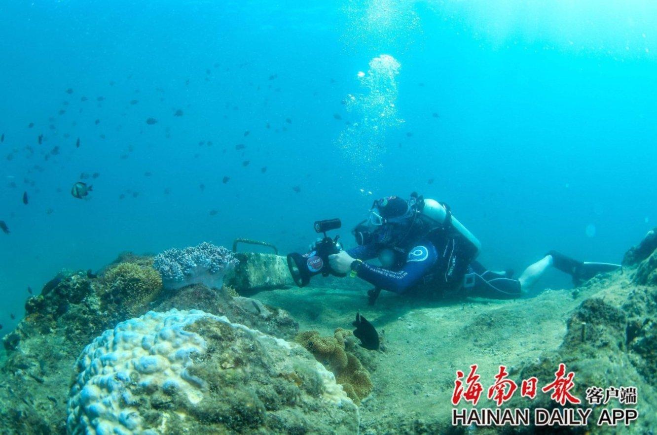 山东9单位入选国家级智慧健康养老应用试点示范